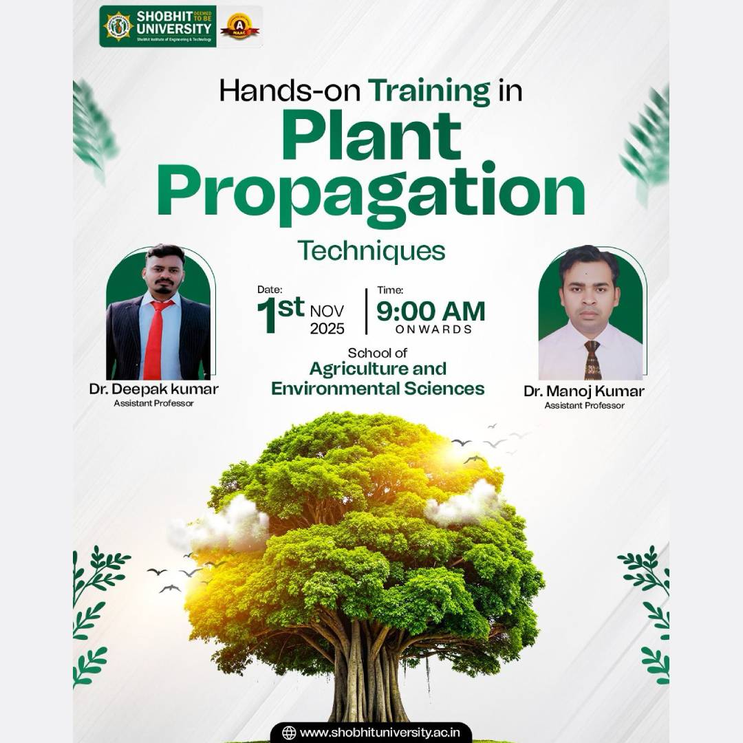 Plant Propagation Techniques