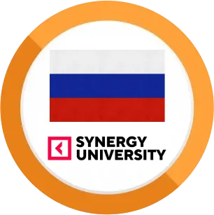 Synergy University