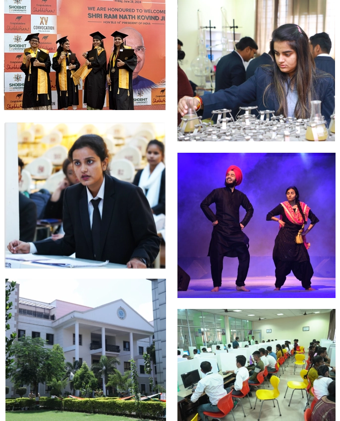 About Shobhit University