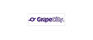 GrapeCity India Pvt. Ltd.