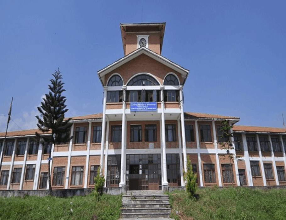 Tribhuvan University